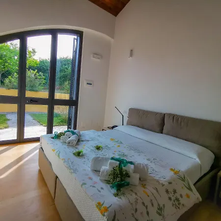 Erba Regina * Frascati