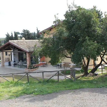 Erba Regina