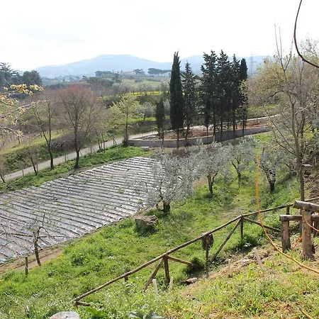 Farm stay Erba Regina *