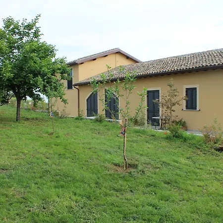 Erba Regina Frascati