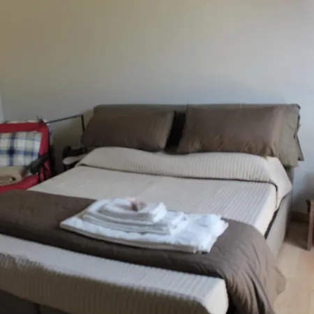 Erba Regina Farm stay Frascati