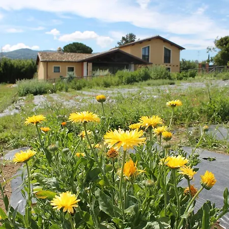Erba Regina Farm stay Frascati